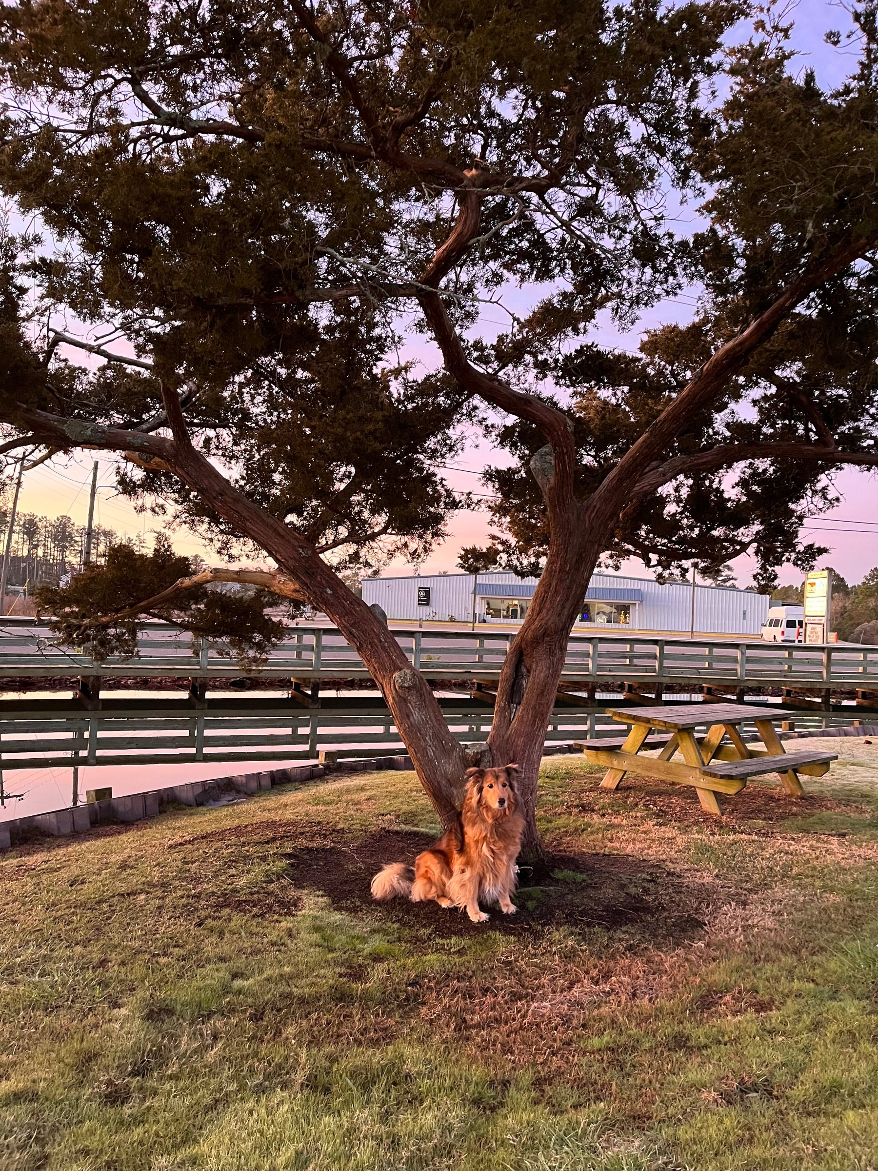 The grounds at Hotel Engelhard at dusk, on Far Creek
