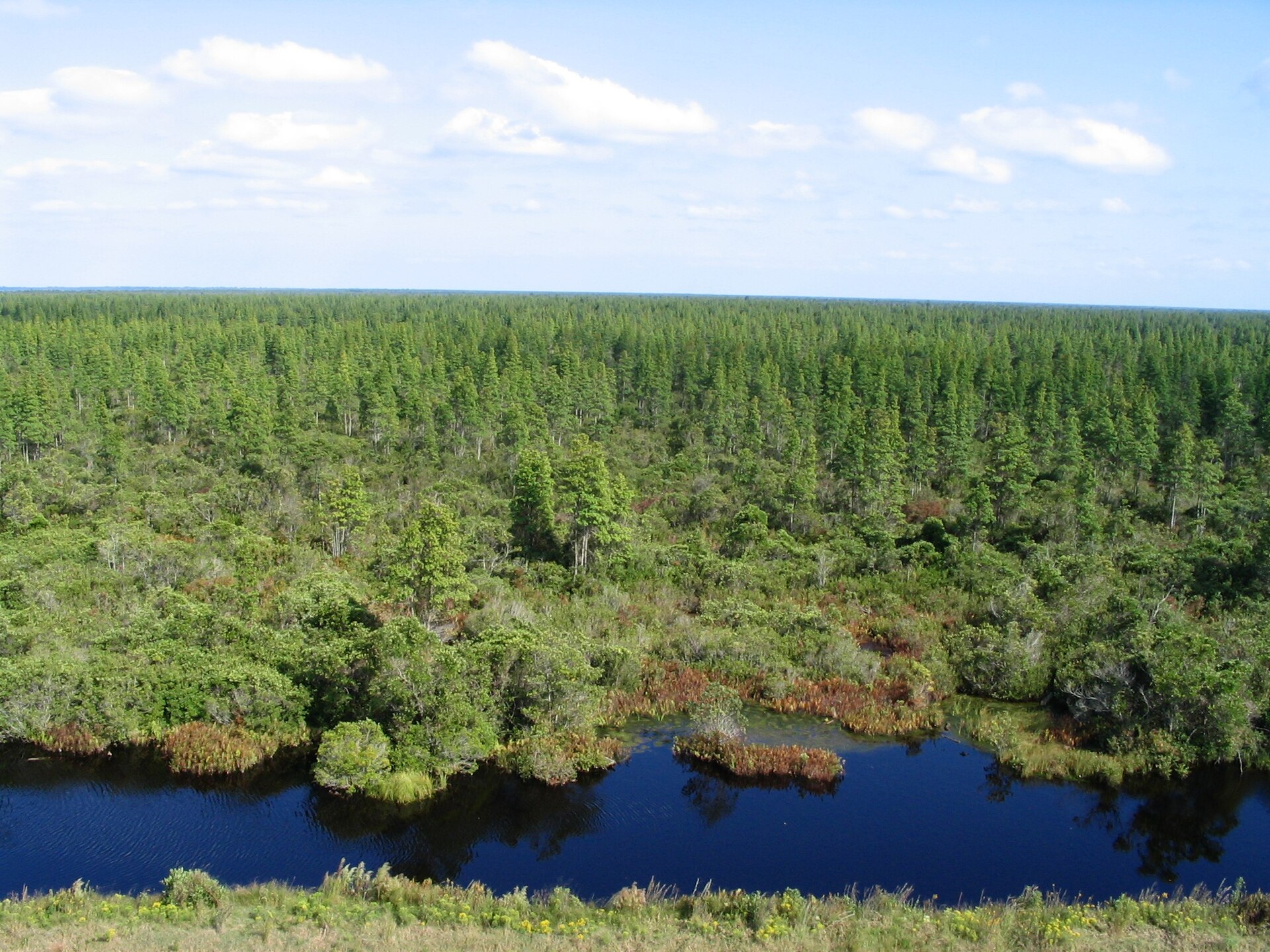 Marsh and impoundments of the wildlife refuge